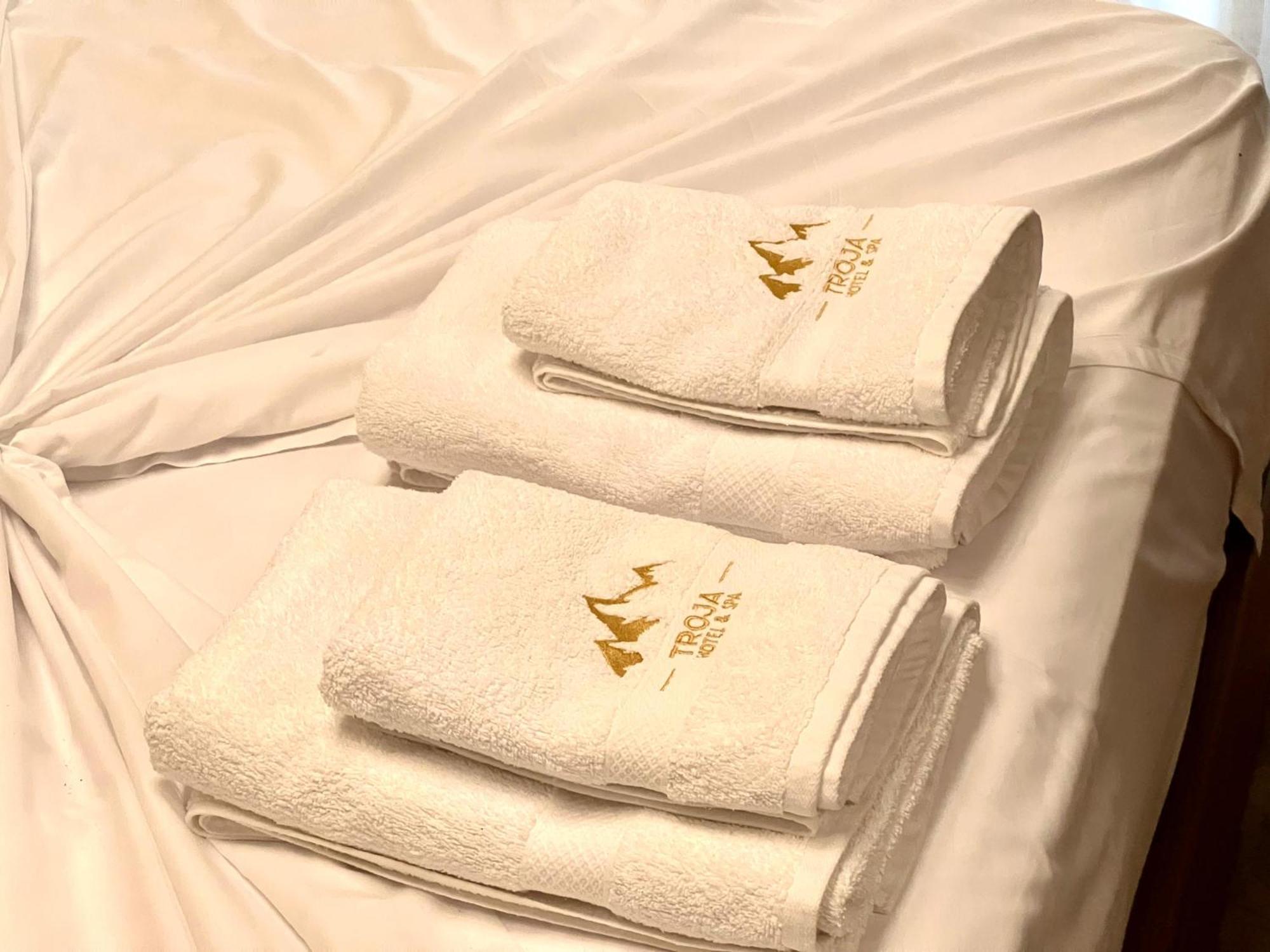 Hotel Troja - & Restaurant 4*